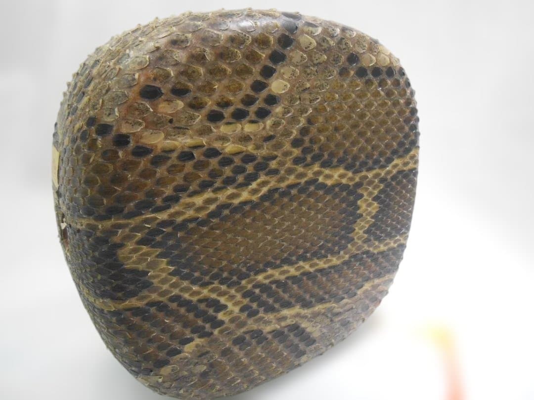 #5H現品販売(送料無料) 新品14.000円N蛇皮強化張チーガ 今年３月作成