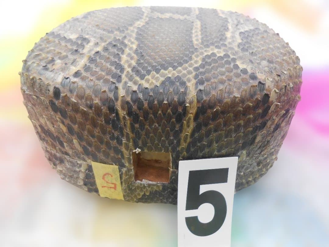 #5H現品販売(送料無料) 新品14.000円N蛇皮強化張チーガ 今年３月作成