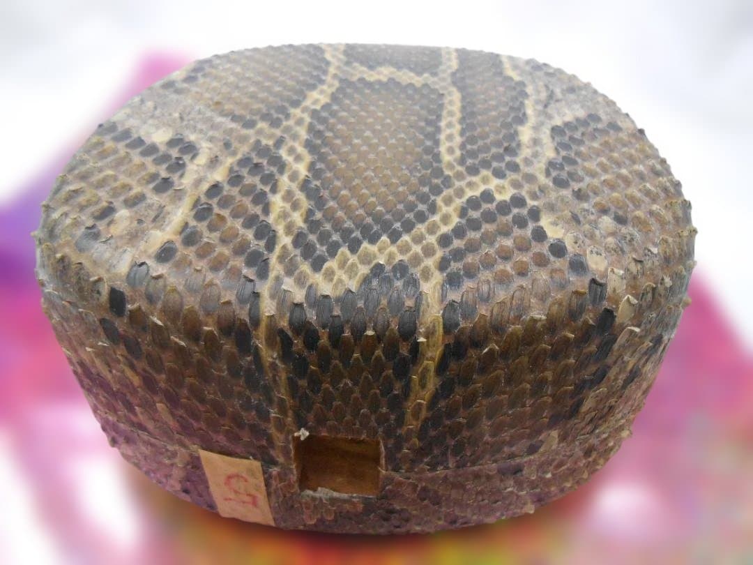 #5H現品販売(送料無料) 新品14.000円N蛇皮強化張チーガ 今年３月作成