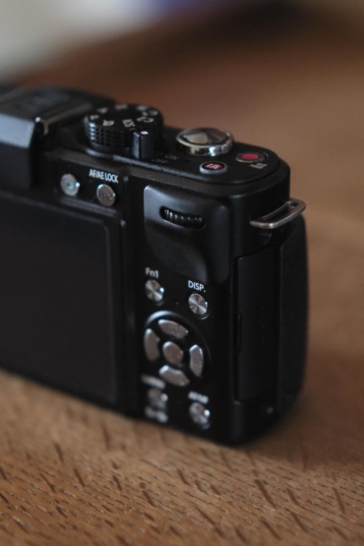 Panasonic GX1 ミラーレス一眼 フルセット