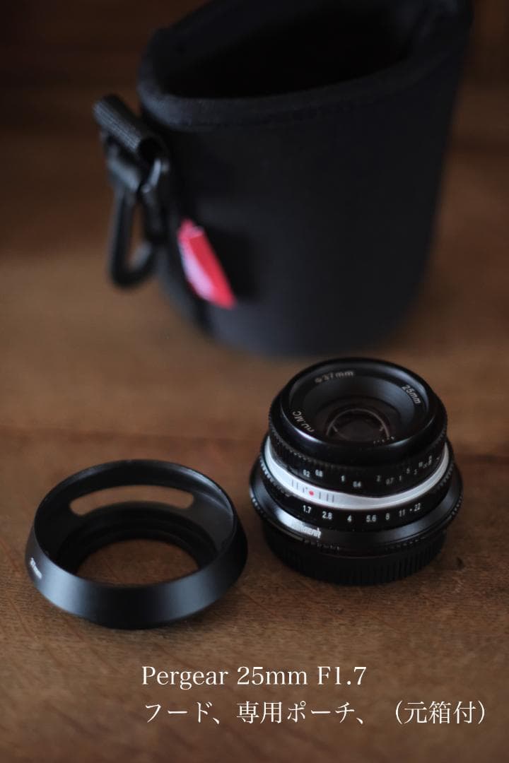 Panasonic GX1 ミラーレス一眼 フルセット