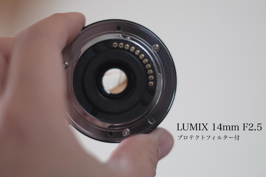 Panasonic GX1 ミラーレス一眼 フルセット