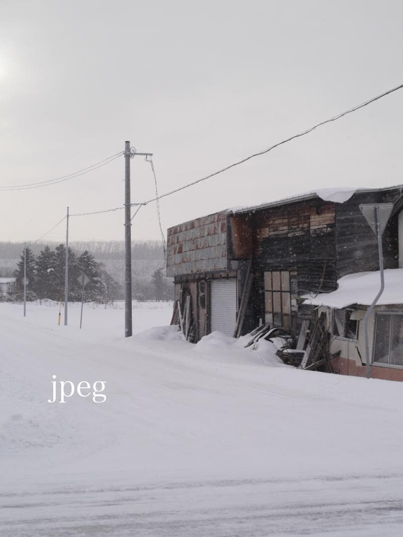 Panasonic GX1 ミラーレス一眼 フルセット