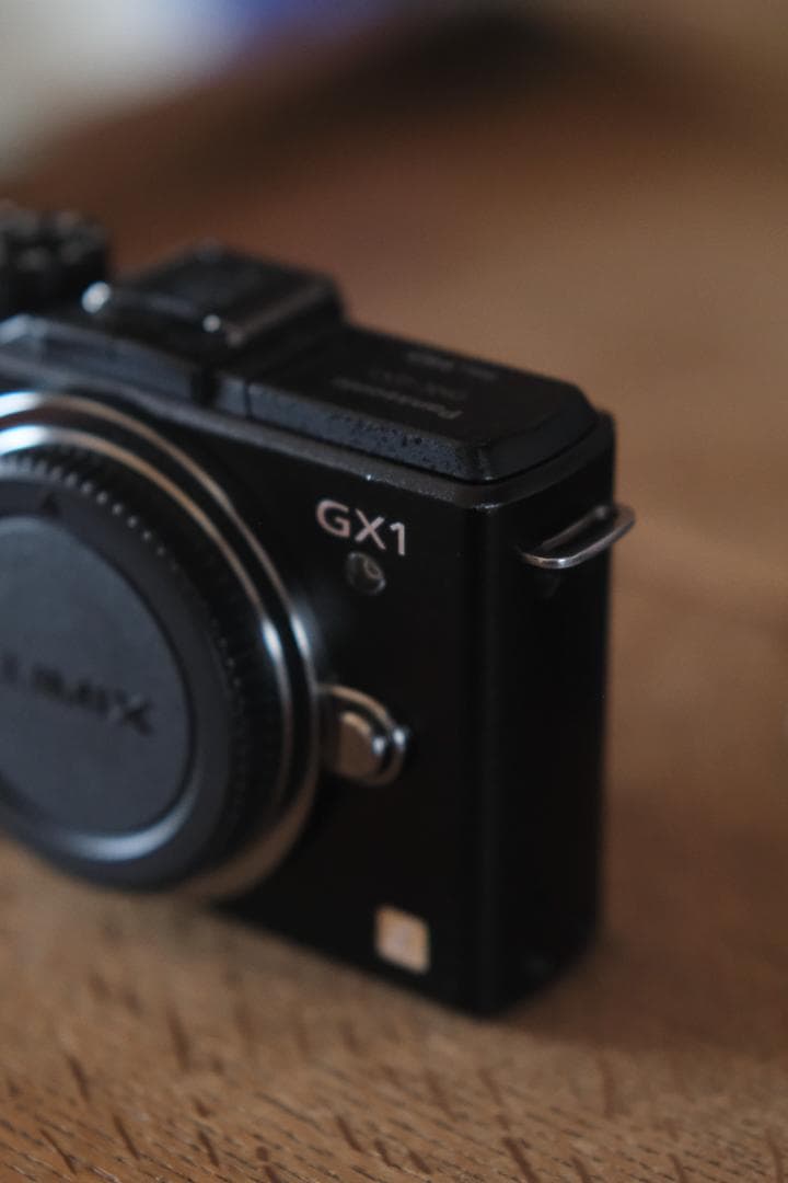 Panasonic GX1 ミラーレス一眼 フルセット