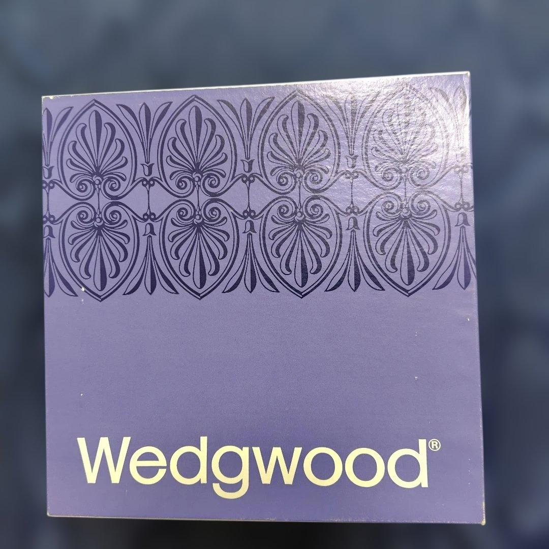 アンティーク✾新品✾ウエッジウッド シェルプレート 貝 大皿 箱付 希少 レア