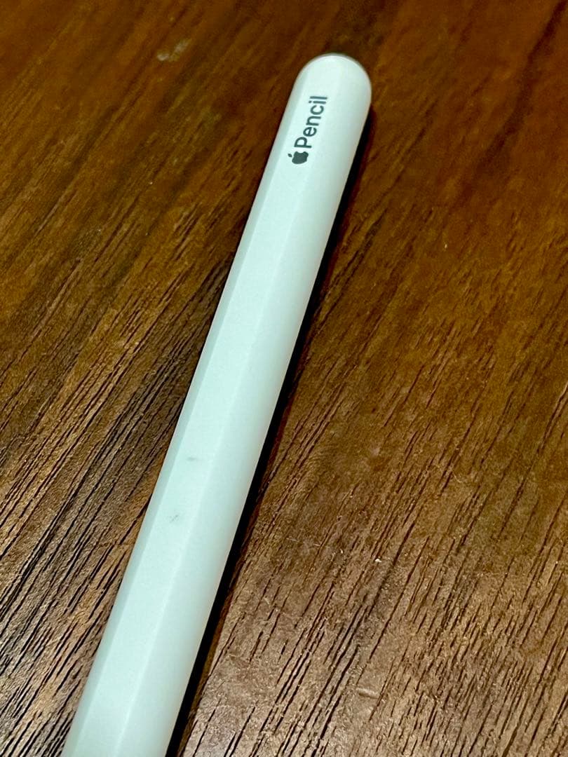 t*9様 【動作確認済】Apple Pencil ホワイト 第2世代