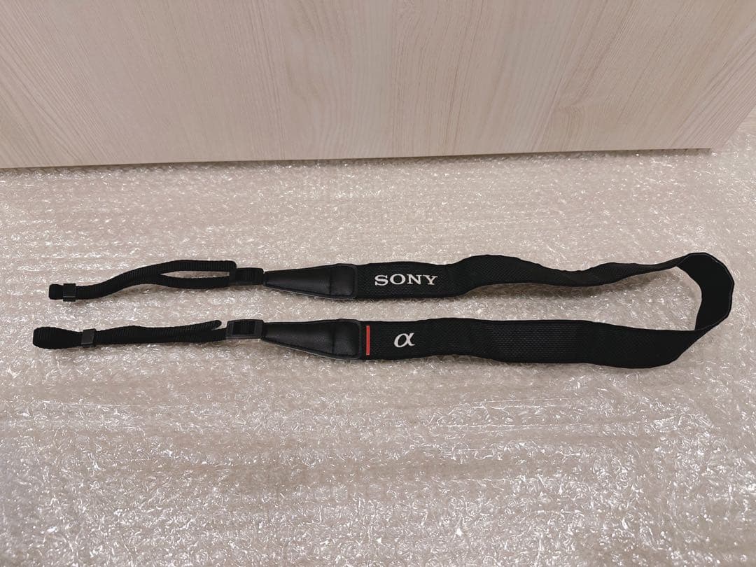 SONY α6000 ミラーレス一眼 SIGMA 16mm 単焦点レンズセット