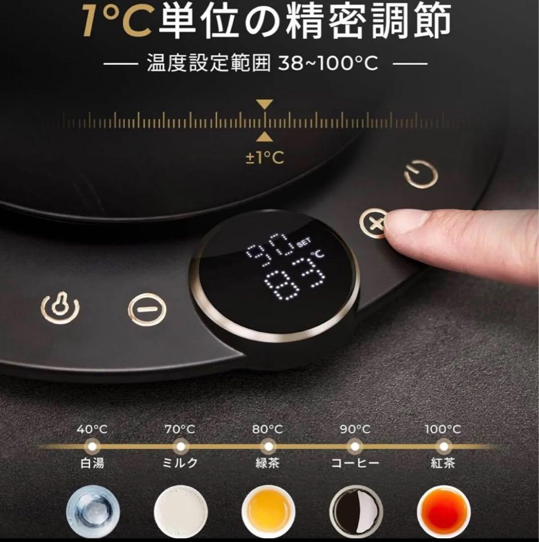 Epeios（エペイオス）電気ケトル 0.9L｜1℃単位で温度調整