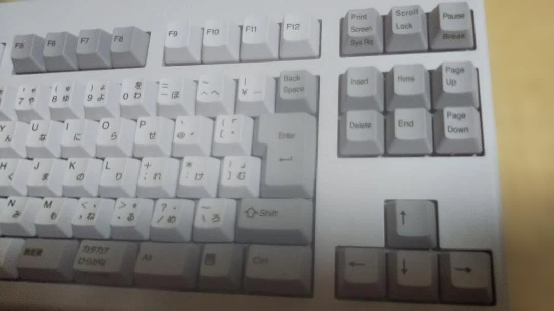 東プレ リアルフォースキーボード NG0100 REALFORCE