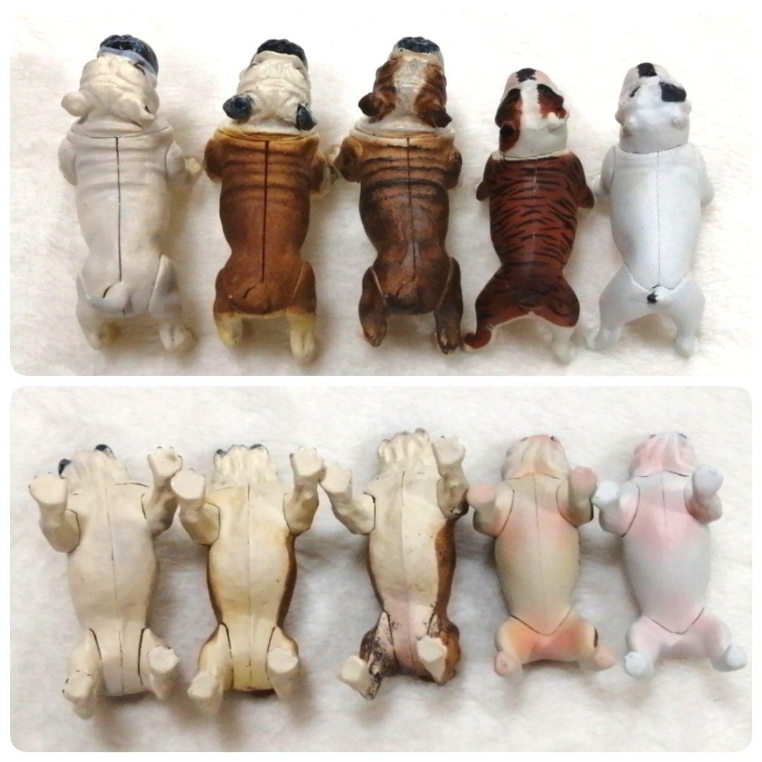 5匹まとめ売り ブルドッグ チョコエッグ スクラッチ当選品など