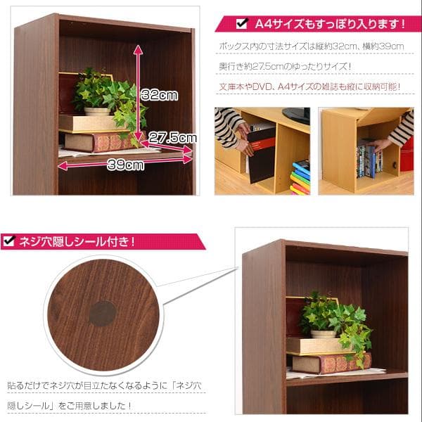 扉付きカラーボックス A4サイズ収納OK