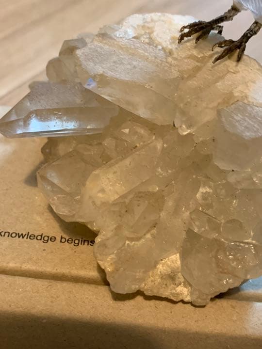 南米産　天然石　水晶　小鳥