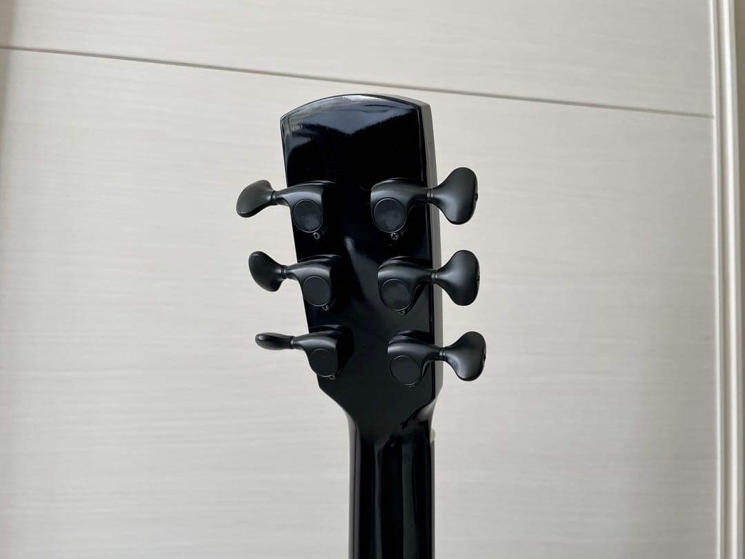 aNueNue アヌエヌエ　エレアコ　aNN-M77E 専用ケース付き