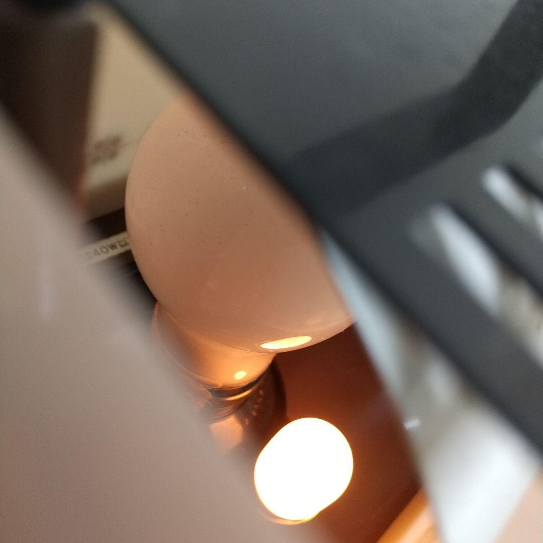 M[希少·レトロ] National ナショナル 照明付扇風機 F-10LA