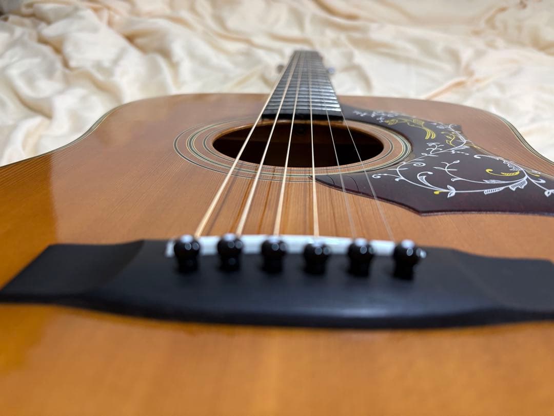 ギター ZEN-ON RF-150 Gibson humming bird model