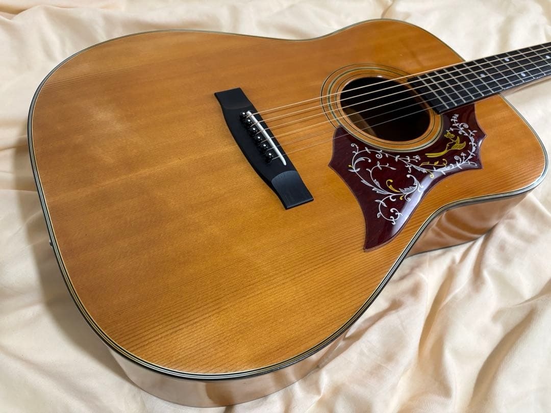 ギター ZEN-ON RF-150 Gibson humming bird model