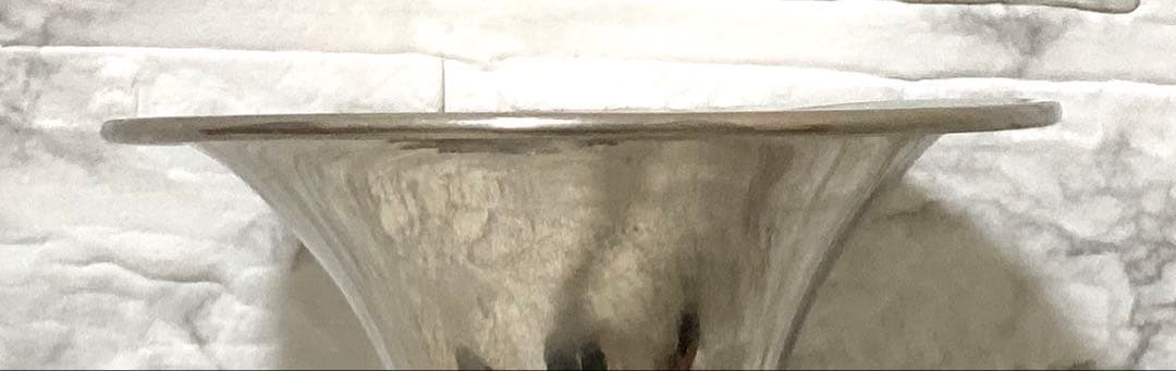 【現状】Nikkan トランペット TR-134 マウスピース 5MS TR1