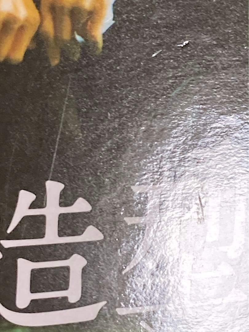 ワンピース　造型師×写真家　モンキー・D・ルフィ　 全2種