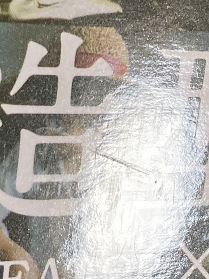 ワンピース　造型師×写真家　モンキー・D・ルフィ　 全2種