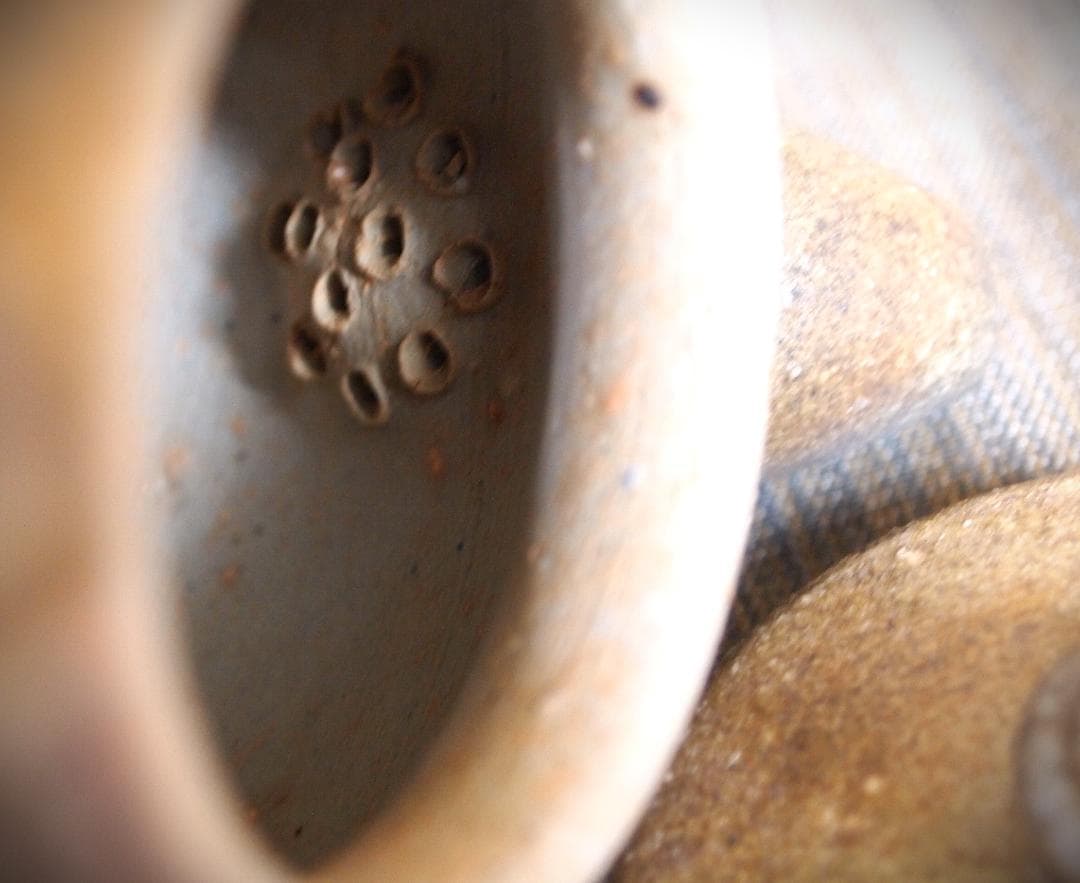 新品★竹内靖之【師：山本陶秀】★備前面取(窯変）急須（ポット）