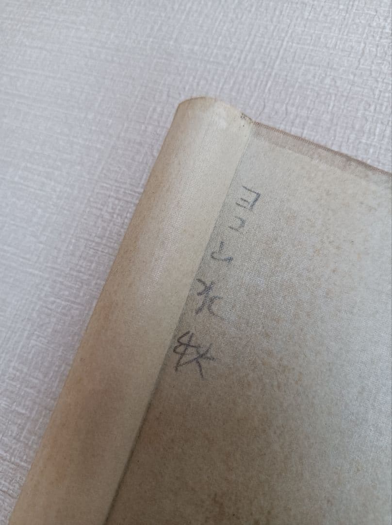 軸 開運 福 おもてなし 絵 龍神 金運 山水 中国 風水 美術 インテリア