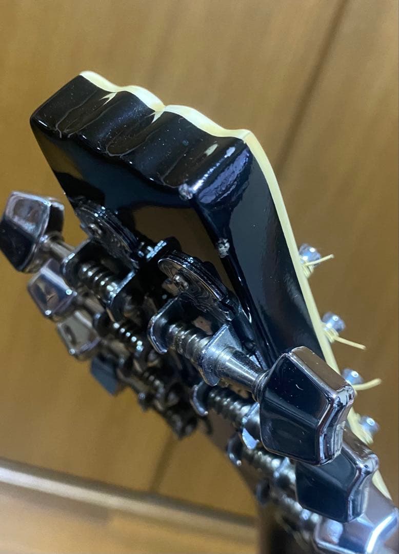 Aria AM-20E ピックアップ搭載　ハードケース付　エレキマンドリン