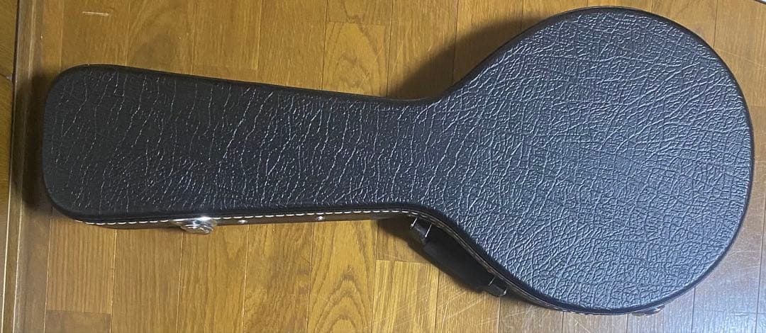 Aria AM-20E ピックアップ搭載　ハードケース付　エレキマンドリン