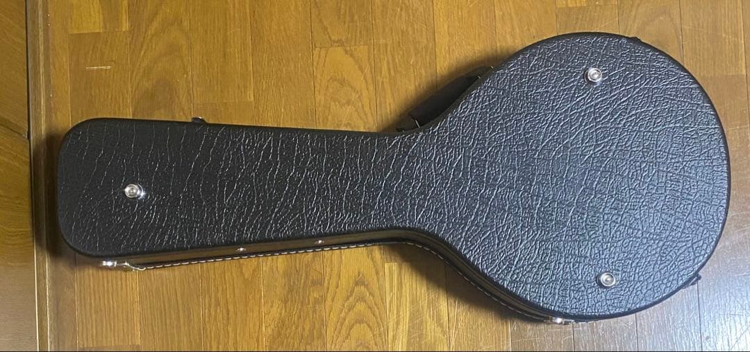 Aria AM-20E ピックアップ搭載　ハードケース付　エレキマンドリン