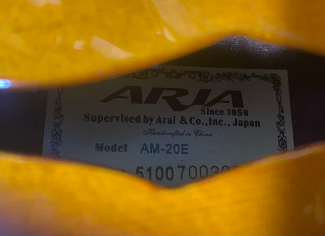 Aria AM-20E ピックアップ搭載　ハードケース付　エレキマンドリン