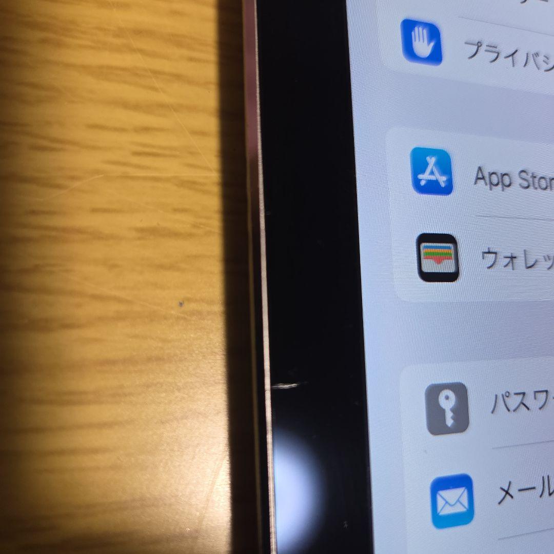 iPad Pro (12.9インチ) 本体