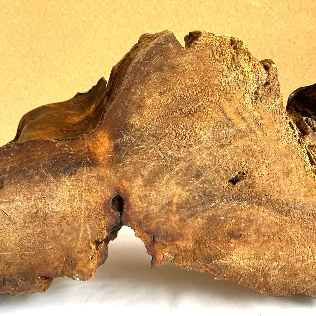 天然木　カエルの彫刻　流木　インテリア装飾　彫刻　美術品　骨董　幅60㎝　カエル