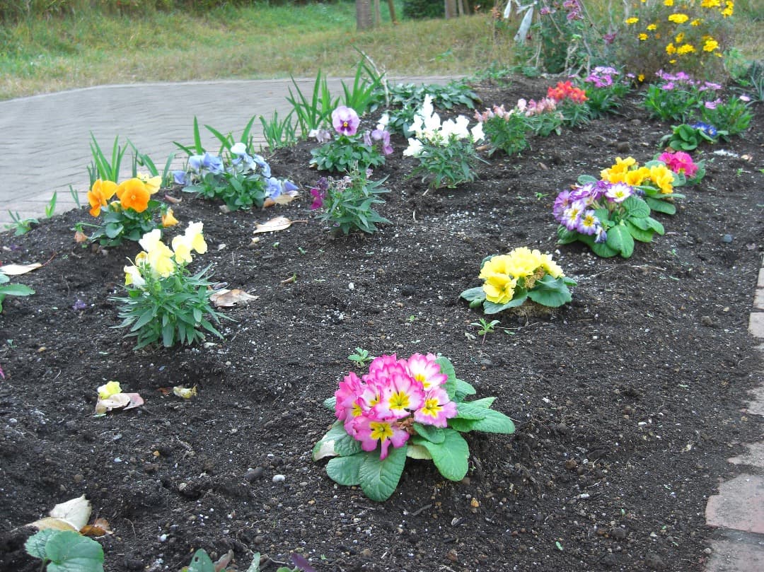 追加あり⭕️【動作確認済】CASIO EXILIM EX-Z1080