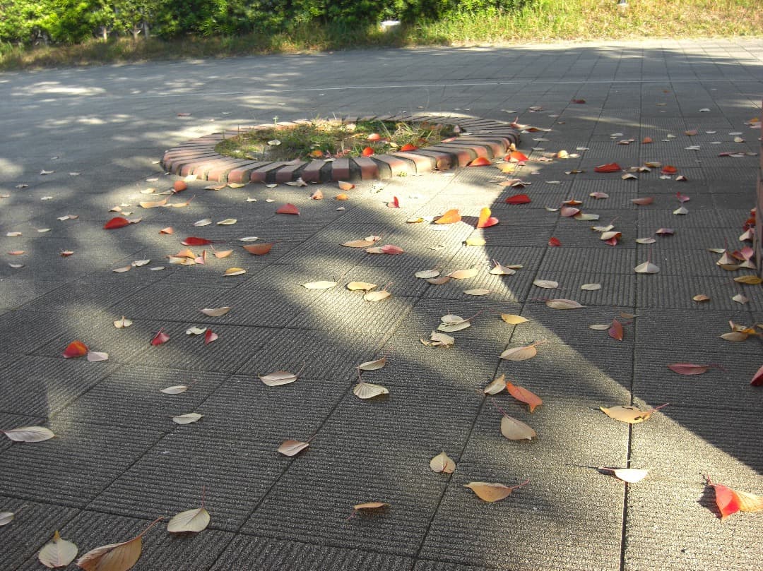 追加あり⭕️【動作確認済】CASIO EXILIM EX-Z1080