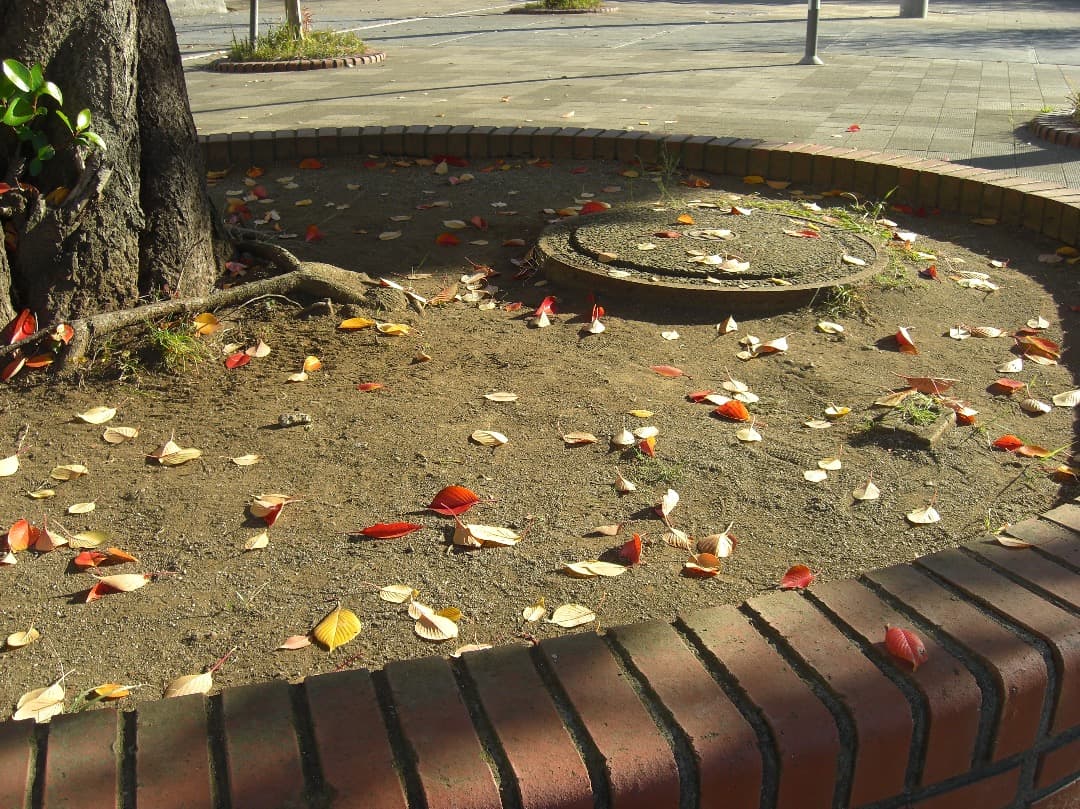 追加あり⭕️【動作確認済】CASIO EXILIM EX-Z1080