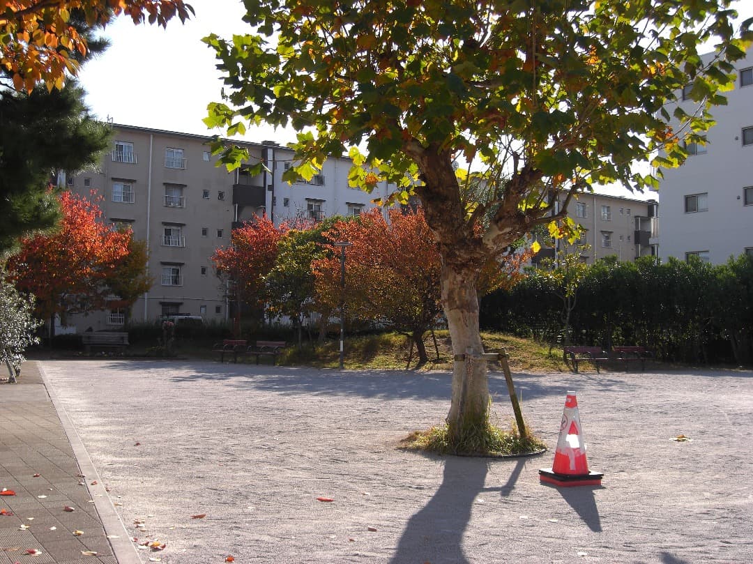 追加あり⭕️【動作確認済】CASIO EXILIM EX-Z1080