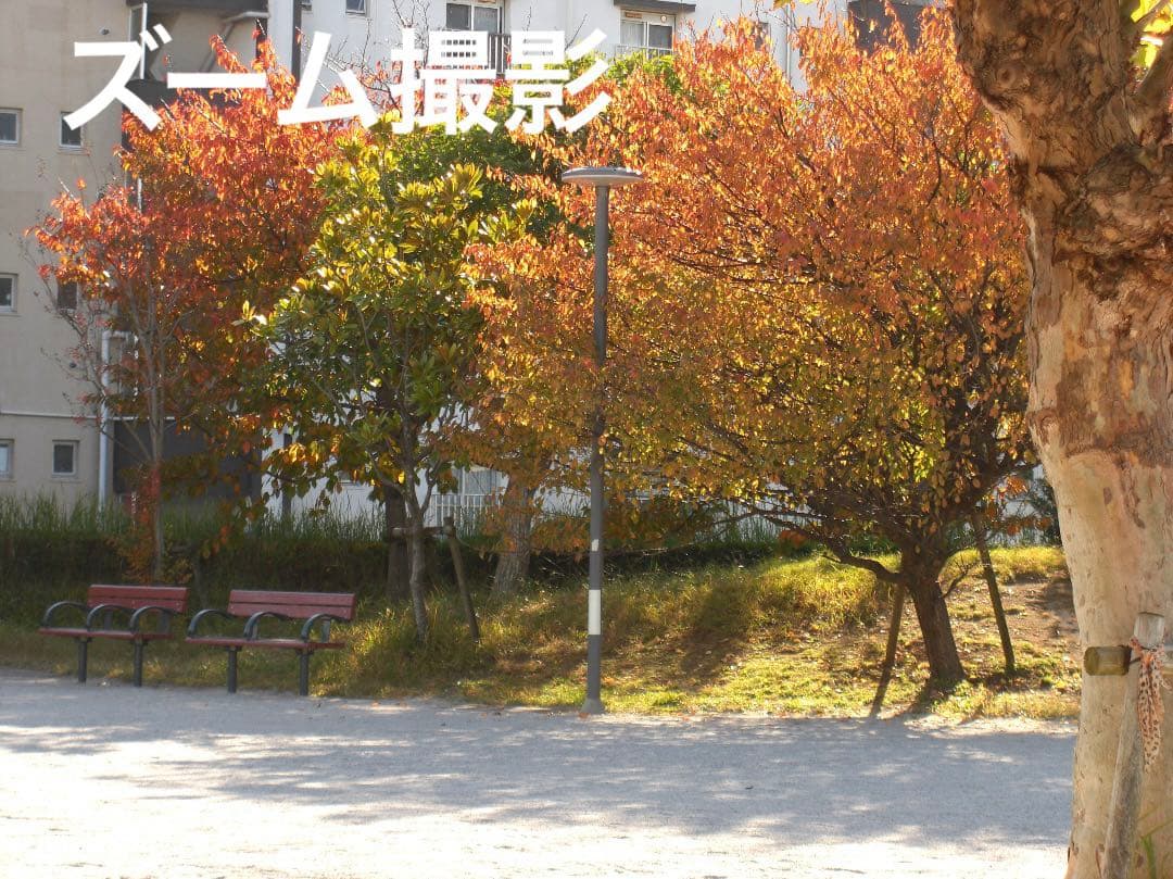 追加あり⭕️【動作確認済】CASIO EXILIM EX-Z1080