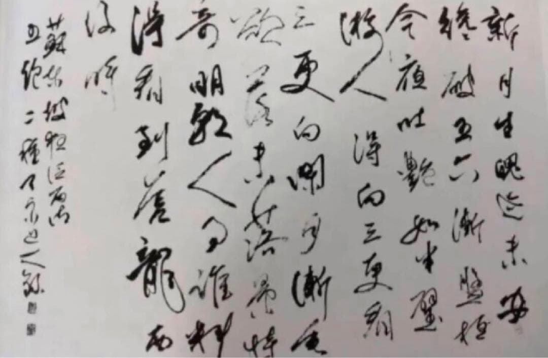 【希少！一点物！入手困難！】五十嵐天宗 先生　書作品　「蘇東坡の詩 」
