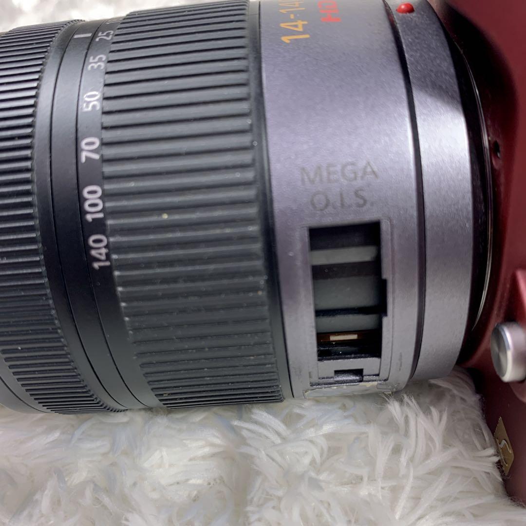 Panasonic LUMIX GH1+14-140レンズ付