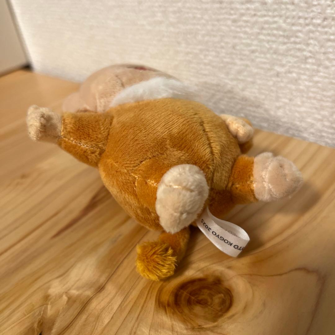 もふもと　ダイアン　セット