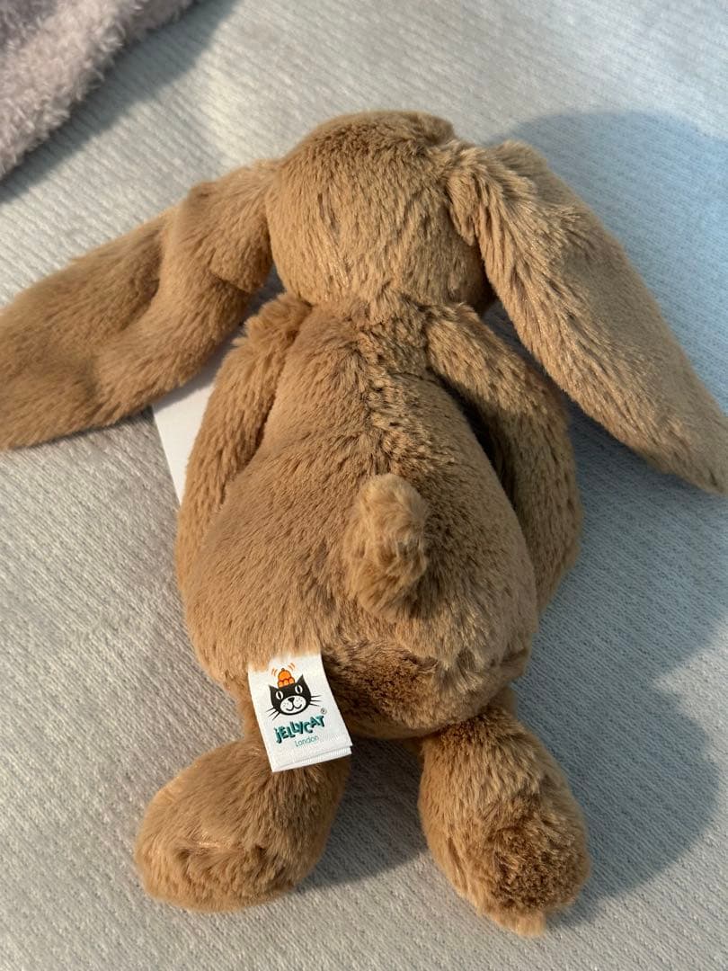  うさぎ bashful biscuit Bunny ビスケット