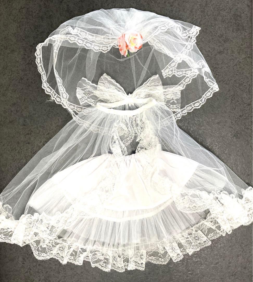 ぬいぐるみコスチューム　ぬいぐるみ衣装　ダッフィー　シェリーメイ