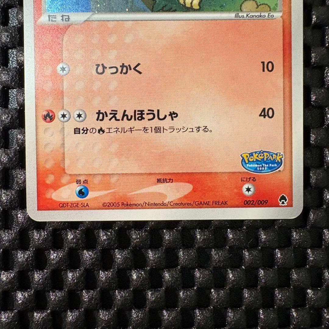 ポケモンカード　ポケパークのアチャモ　ポケパークプレミアムファイル