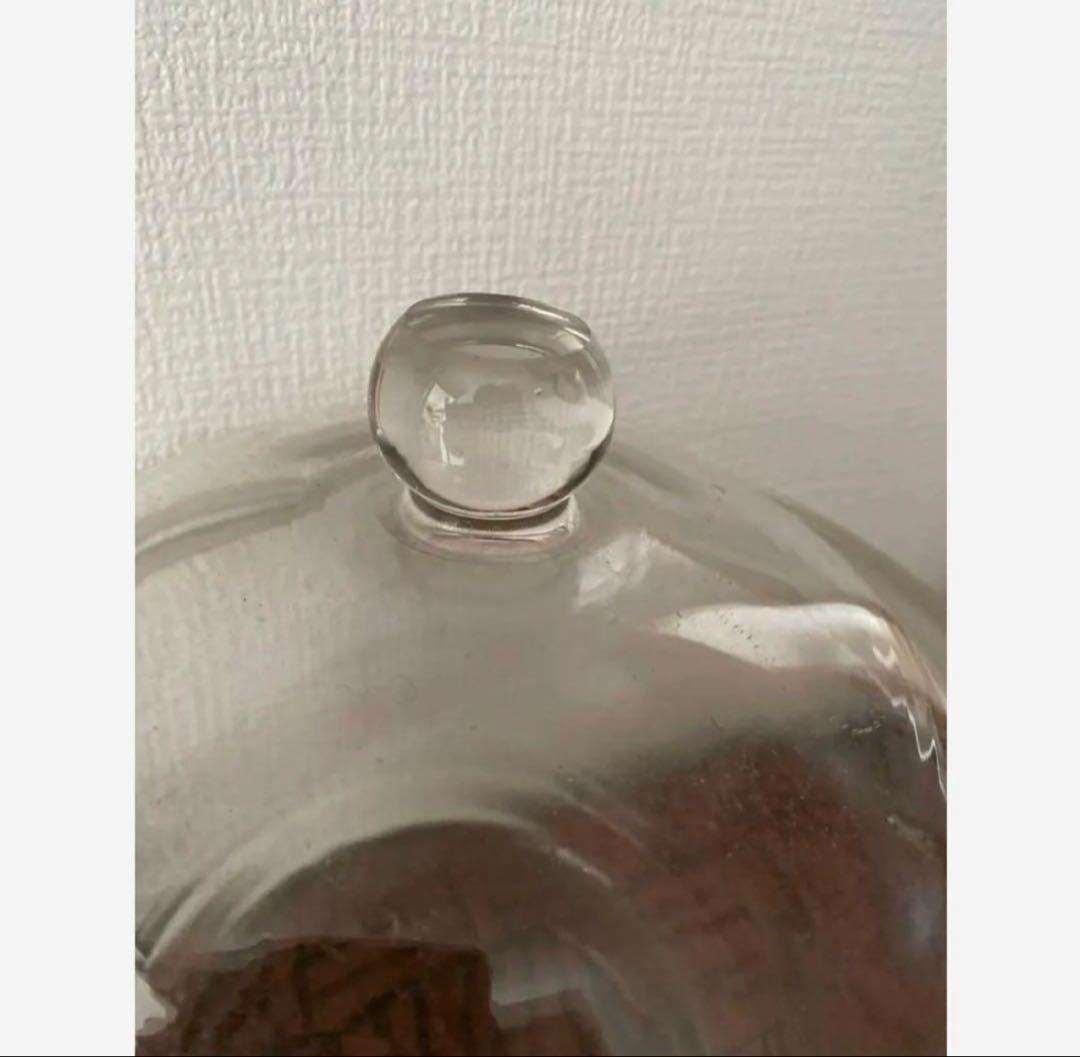 ガラスキャニスター デシケーター ガラス瓶　金魚鉢　水槽にも