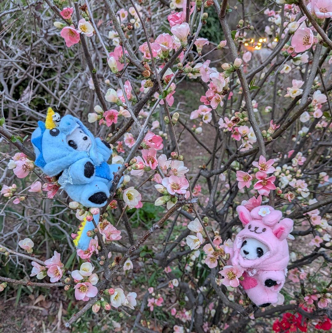 おでシャン♡シャオ♡レイ♡ユニコーン＆怪獣＆うさぎ☆変身コスチュームセット