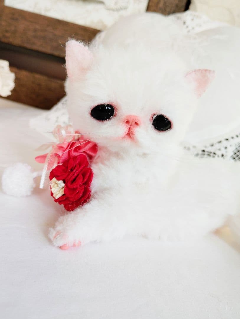 まなあきちゃん御予約❤ちゅるんオメメの子猫ちゃん♡うるうる♡アートドール♡