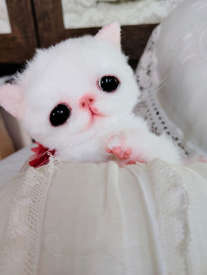 まなあきちゃん御予約❤ちゅるんオメメの子猫ちゃん♡うるうる♡アートドール♡