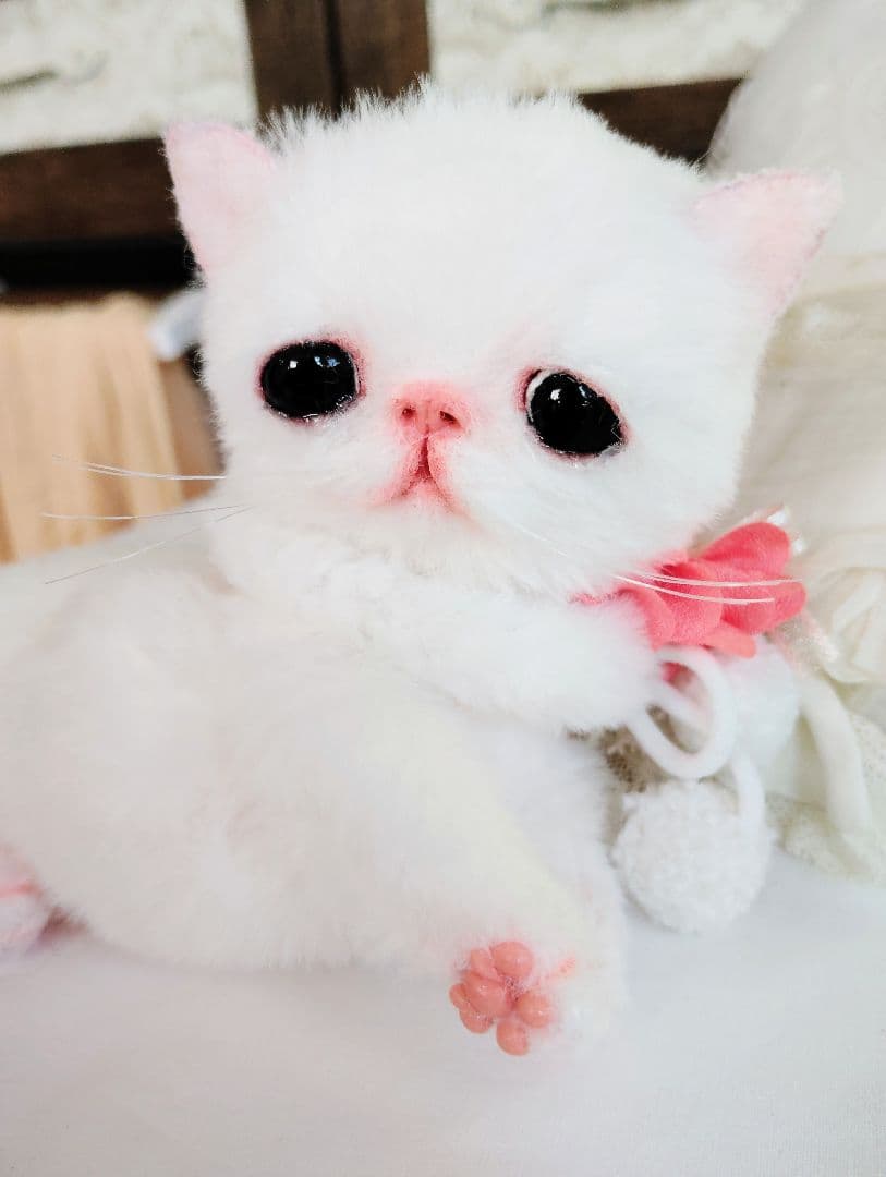まなあきちゃん御予約❤ちゅるんオメメの子猫ちゃん♡うるうる♡アートドール♡