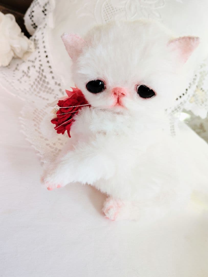 まなあきちゃん御予約❤ちゅるんオメメの子猫ちゃん♡うるうる♡アートドール♡