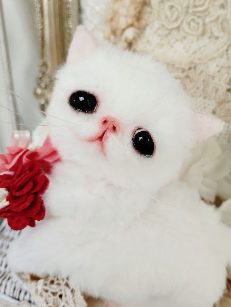 まなあきちゃん御予約❤ちゅるんオメメの子猫ちゃん♡うるうる♡アートドール♡