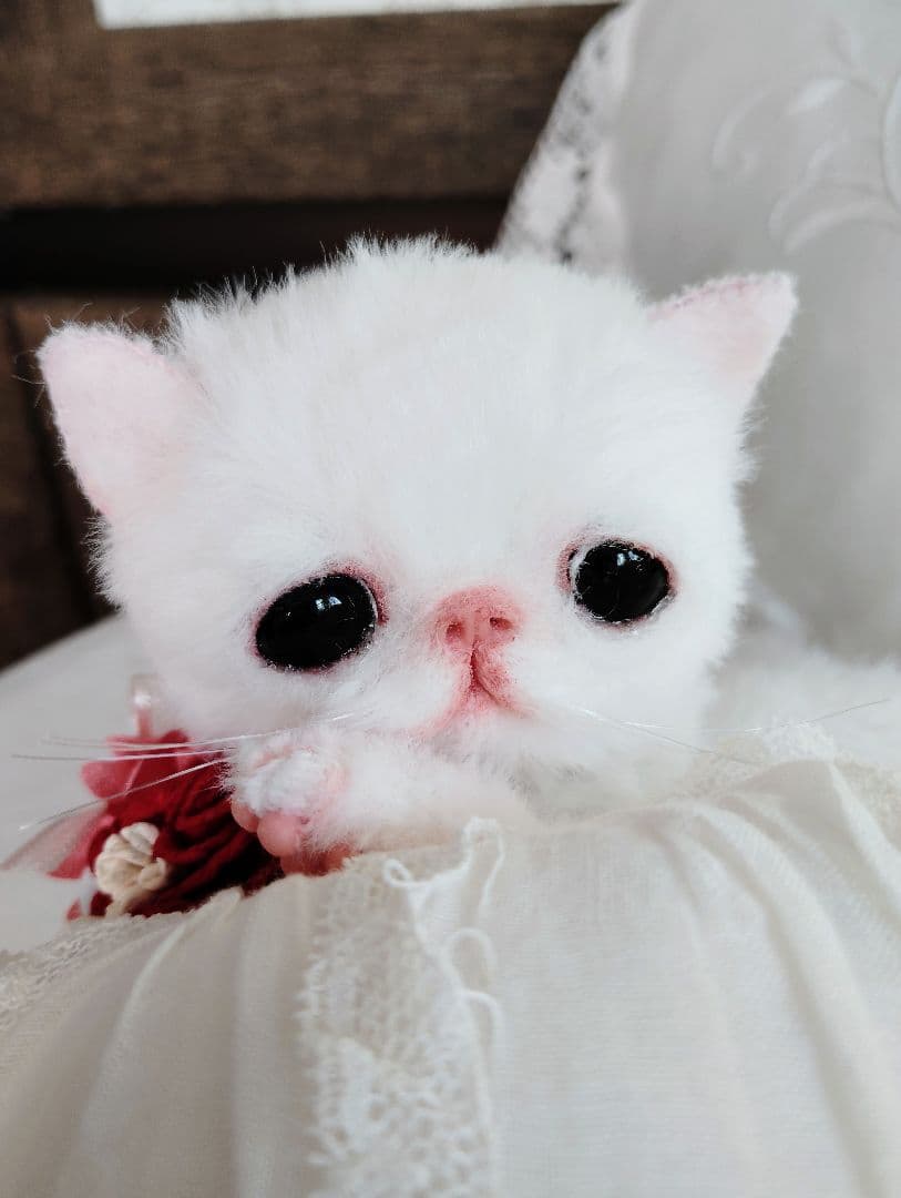 まなあきちゃん御予約❤ちゅるんオメメの子猫ちゃん♡うるうる♡アートドール♡